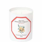 Carrière Frères Scented Candle Mirabelle - Prunus Domestica Syriaca - ...