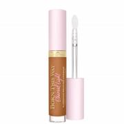 Too Faced Born This Way Ethereal Light Illuminating Smoothing Conceale...