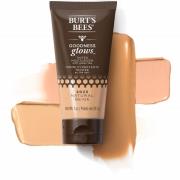 Burt's Bees Tinted Moisturiser 29.5ml - Buff