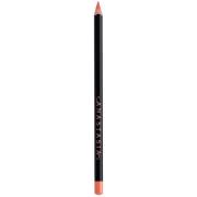 Anastasia Beverly Hills Lip Liner 1.49g (Various Colours) - Sunbaked