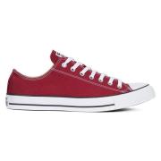 Chuck Taylor All Star Seasonal Canvas Ox