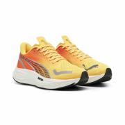 Zapatillas Velocity Nitro 3 Fade